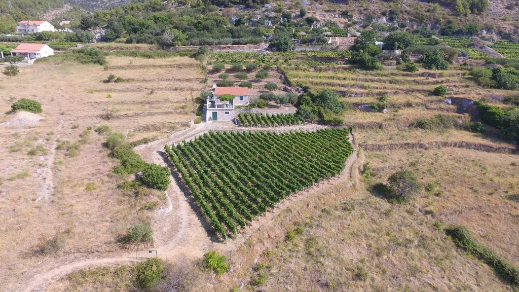 Holiday Home Vineyard House Bol Exteriér fotografie