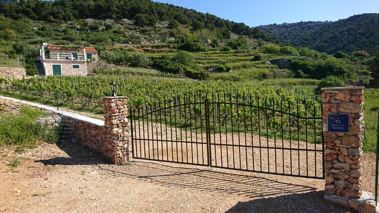 Holiday Home Vineyard House Bol Exteriér fotografie